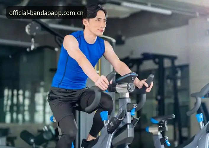 资深体育迷分享BDTY体育软件使用心得：从数据对比到多设备管理的实战经验